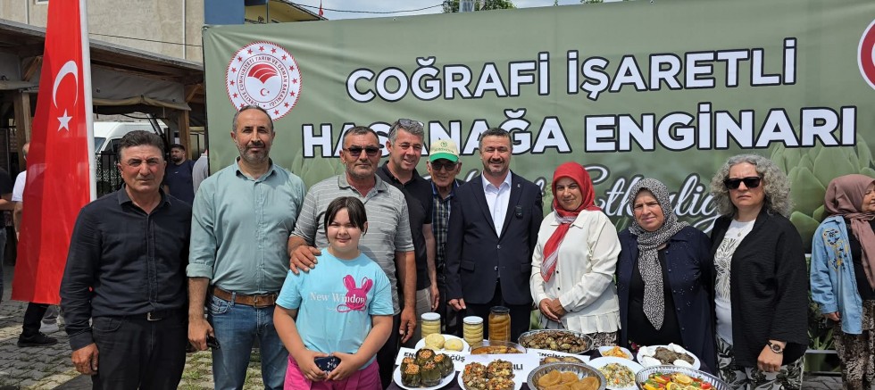 Hasanağa Enginarı’nda Hasat Heyecanı Başladı