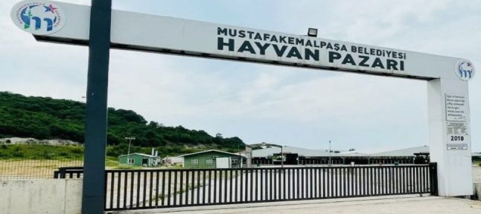 9 Ay Sonra Kapılar Açılıyor: Hayvan Pazarı Yeniden Hizmete Giriyor