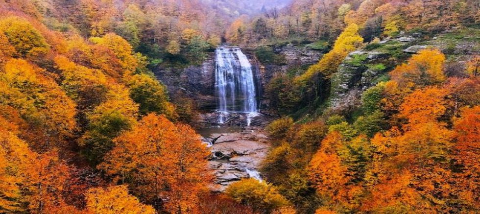 Açık, Ormanlık Alanlara Giriş Yasak