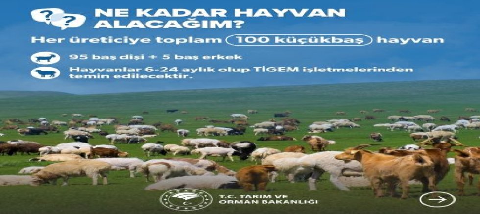 AK Parti İlçe Başkanı Mutlu Turgut’tan Kırsal Kalkınmaya Destek Çağrısı