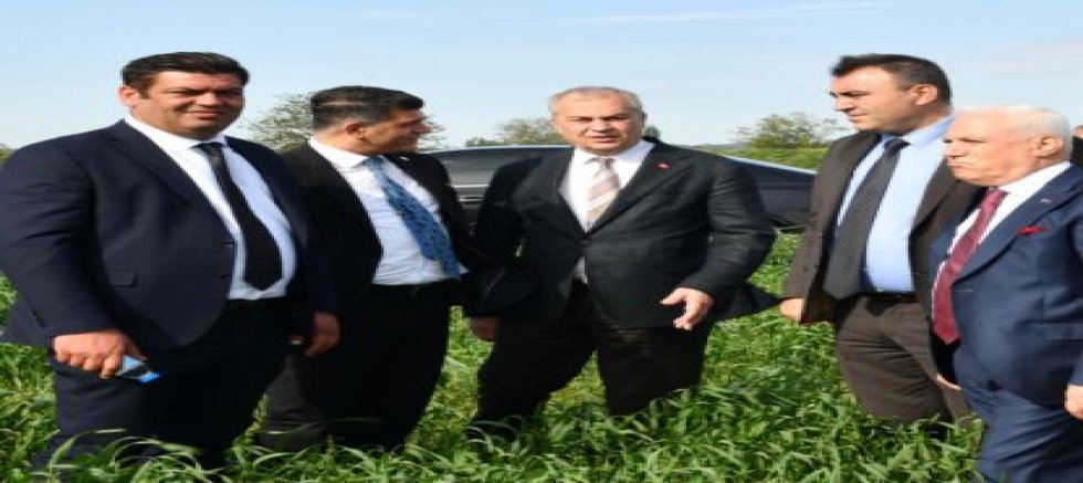 CHP'den AK Parti'ye Sert Soru: 