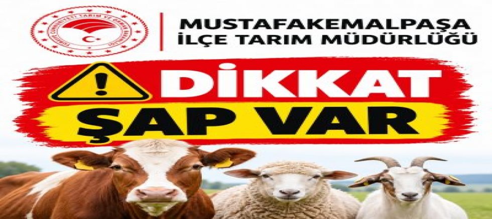 Mustafakemalpaşa Kosova Mahallesi'nde Şap Hastalığı Çıktı: 6 Mahalle Karantinada