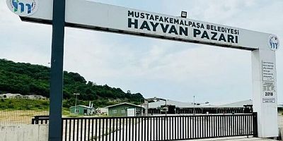 9 Ay Sonra Kapılar Açılıyor: Hayvan Pazarı Yeniden Hizmete Giriyor