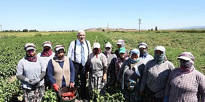 Çeltikçi’de çiftçi isyanı: “Artık satacak bir şeyimiz kalmadı”