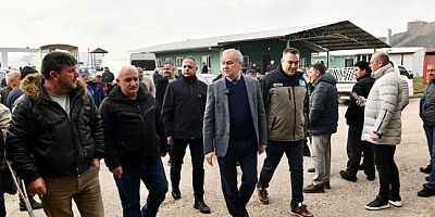 Mustafakemalpaşa Hayvan Pazarı Yeniden Açıldı