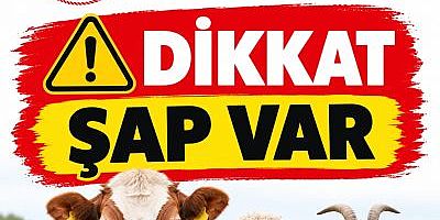 Mustafakemalpaşa Kosova Mahallesi'nde Şap Hastalığı Çıktı: 6 Mahalle Karantinada